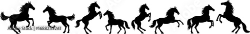 Galloping Wild Horse Silhouette Set 