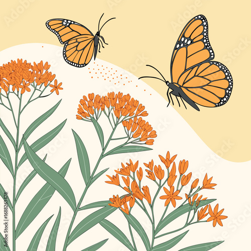 Tableau sur toile Monarch butterflies and orange milkweed flowers in gentle breeze