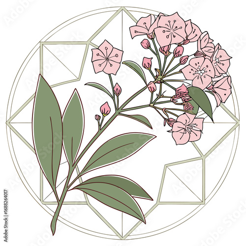 Delicate pink mountain laurel flowers and leaves in geometric circle