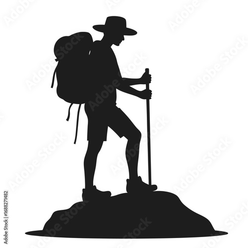 Silhouette of a hiker with backpack and trekking pole on a rock