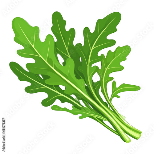 Vibrant Green Arugula Bunch Freshly Picked with Detailed Leaf Veins Isolated on White Background Ingredient Close Up