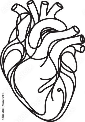 Anatomy of the Human Heart With Intricate Details Showcasing Its Form and Function