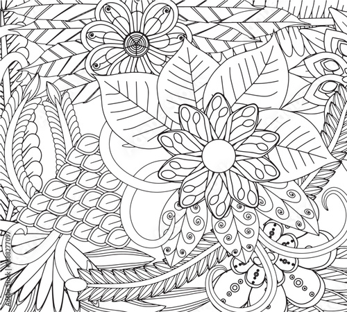 Vector illustration flowers coloring pages for adults 