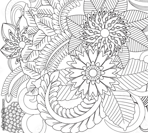 Vector illustration flowers coloring pages for adults 