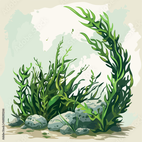 illustration, algae, seaweed, vector, sea, marine, underwater, ocean, water, nature, plant, aquatic, aquarium, leaf, kelp, weed, element, green, life, isolated, undersea, flora, tropical, deep, set, c