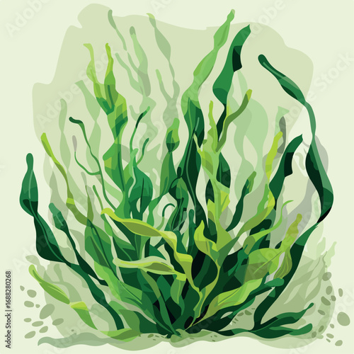 illustration, algae, seaweed, vector, sea, marine, underwater, ocean, water, nature, plant, aquatic, aquarium, leaf, kelp, weed, element, green, life, isolated, undersea, flora, tropical, deep, set, c