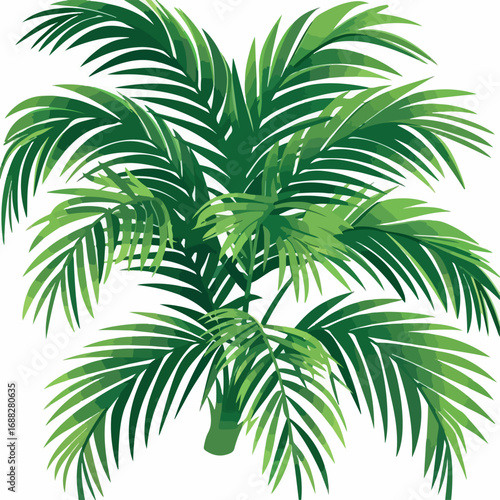 palm, tree, tropical, sky, coconut, palm tree, beach, nature, green, summer, leaf, leaves, island, vacation, plant, exotic, paradise, holiday, travel, sea, relax, palm trees, ocean, sun, branch