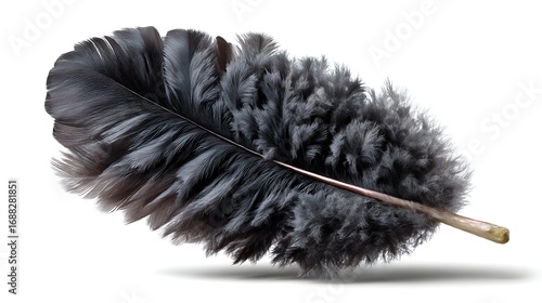 feather duster on white background
