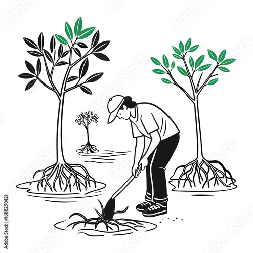 Replanting mangroves a hopeful act of coastal restoration breathing life back with a simple drawing