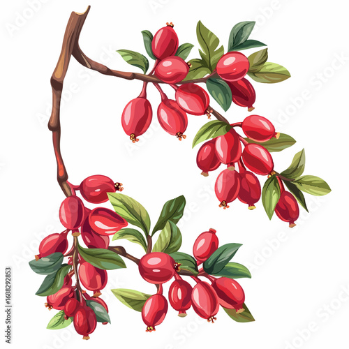 pattern, seamless, leaf, vector, flower, nature, floral, illustration, design, wallpaper, leaves, autumn, decoration, plant, texture, art, tree, green, ornament, vintage, foliage, flowers, spring, 