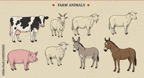 Farm Animals Illustration Featuring Cow, Goat, Sheep, Pig, Donkey, and Mule