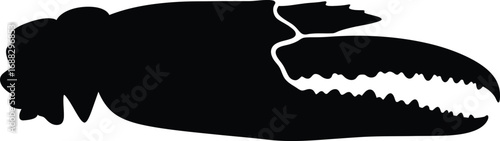 Silhouette crab claw seafood ocean wildlife silhouette marine life icon vector