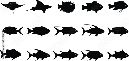 Silhouettes of various tropical and marine fish, vector illustration, ocean wildlife, aquatic animals collection, black fish shapes, underwater sea life icons