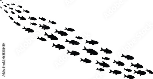 School of fish swimming in formation, black silhouette vector illustration, underwater sea life, aquatic animals, ocean wildlife, marine ecosystem design