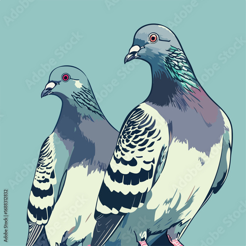 bird, pigeon, animal, nature, dove, wildlife, pheasant, white, beak, wild, feathers, feather, peacock, grey, isolated, birds, hunting, eye, blue, gray, portrait, 