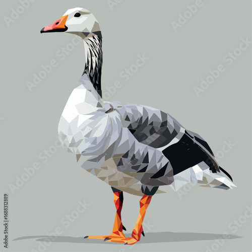 bird, goose, duck, animal, nature, geese, white, beak, feather, farm, wildlife, grass, birds, isolated, waterfowl, water, animals, feathers, wild, green, park, fowl, domestic