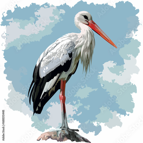 stork, bird, animal, white, beak, wildlife, nature, feather, ciconia, wild, nest, black, red, grass, fauna, zoo, bill, green, white stork, birth, birds, ciconiiformes, portrait, feathers, summer