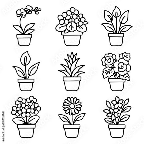 Vector bloom jasmine plant icon lily african icons flowers potted flowering peace