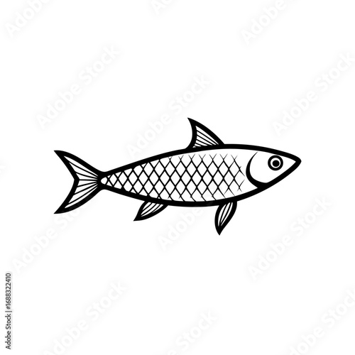 herring fish isolated silver scales