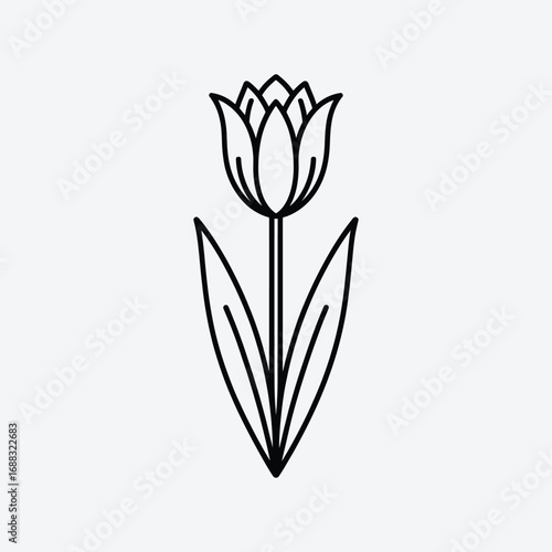 Vector art of minimalist tulip illustration, showcasing clean lines and simple elegance, perfect for modern designs and springthemed projects