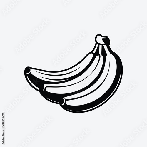 Vector art of a bunch of three bananas in black and white illustration fresh and healthy tropical fruit for a simple and elegant design