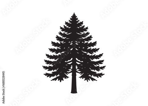 Redwood tree silhouette vector illustration isolated on white background.