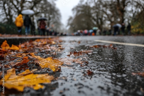 Autumnal, wet park path.  People walk past, umbrellas in hand, on a rainy day. Fallen leaves litter the curb and roadway