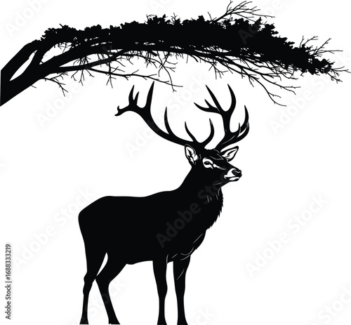 Silhouette of a majestic stag with large antlers standing under a tree canopy deer