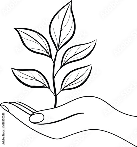 Hand holding a young green plant sprout with leaves showing growth and new life concept