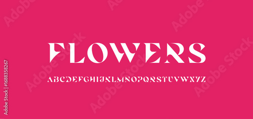 Exquisite alphabet serif decorative white font