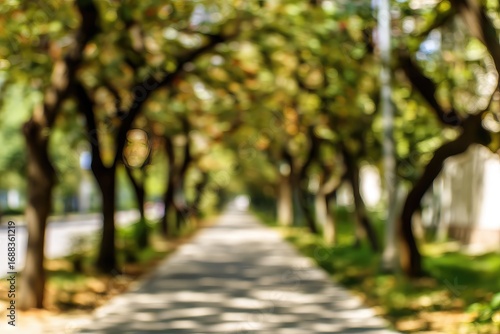 Blurry walkway bordered by trees with green leaves, leading into the distance. Sunlight dapples the ground creating shadows along the path