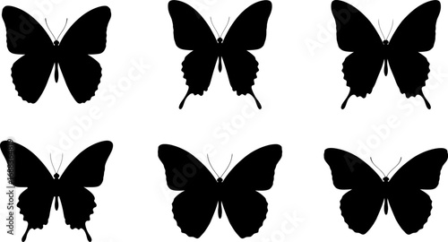 Six black silhouette illustrations of butterflies with varying wing shapes and details.