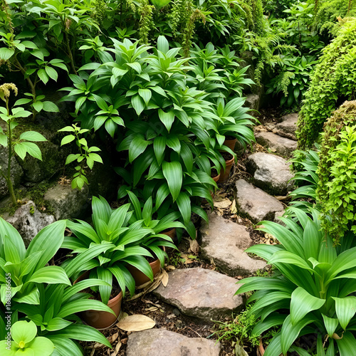 green plants at comer see