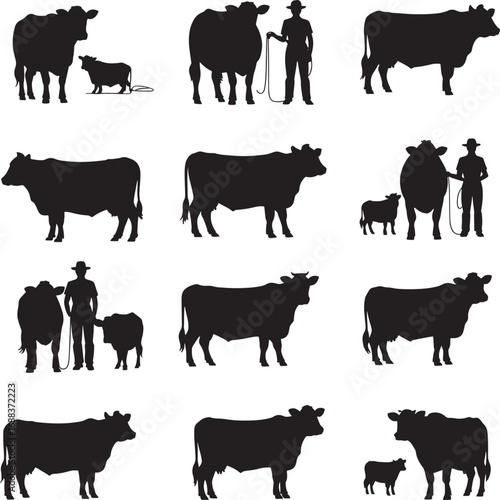 Cattle and Human Silhouettes on White Background 
