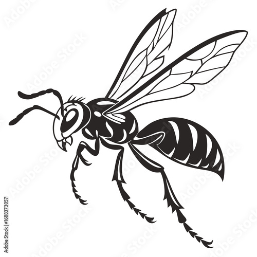 vector illustration of a wasp
