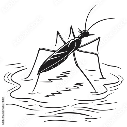 Realistic Beetle Silhouette Illustration