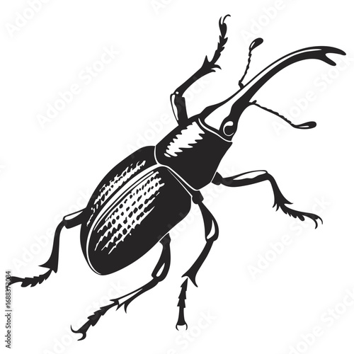  Realistic Beetle Silhouette Illustration