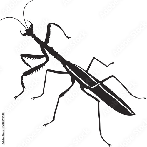 mosquito cartoon illustration