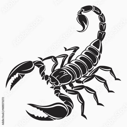 scorpion vector illustration