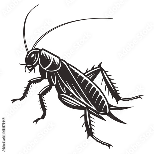 silhouette of a praying mantis