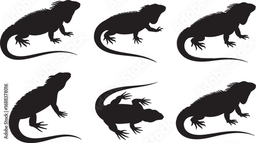 Iguana Silhouettes in Black and White Minimalist Style