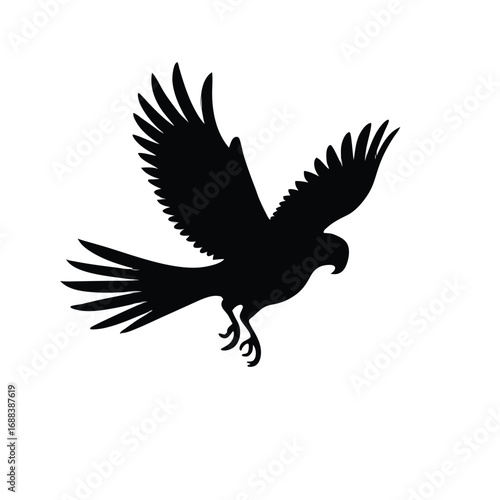 Black silhouette of a bird of prey in flight white