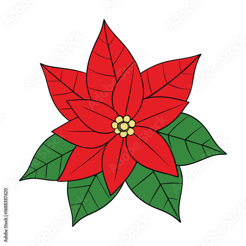 A big red poinsettia flower with lush green leaves, symbol of Christmas cheer. Its bright petals and festive charm bring warmth, joy, and holiday spirit to any setting.
