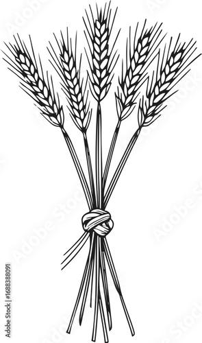 Simple line art illustration of wheat stalks tied together, monochrome vector, clean outline for bakery packaging 1