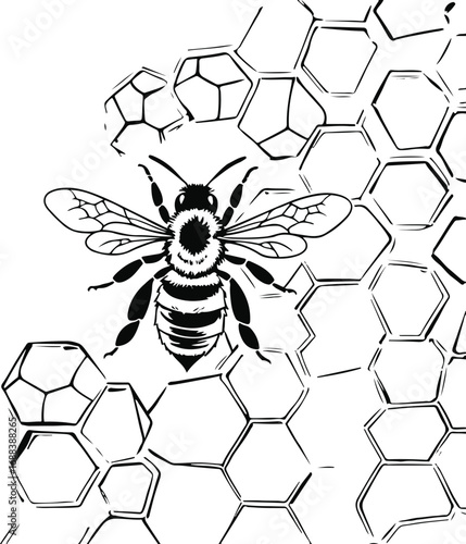 Simple monochrome line drawing of a flying bee over hexagonal honeycomb, clean outline, natural product packaging illustration