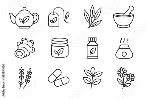 Icons capsules oil herbal vector salve flowers sprig icon eucalyptus wellness supplement