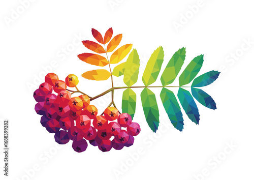Polygonal rainbow rowan branch with vibrant berries and leaves 