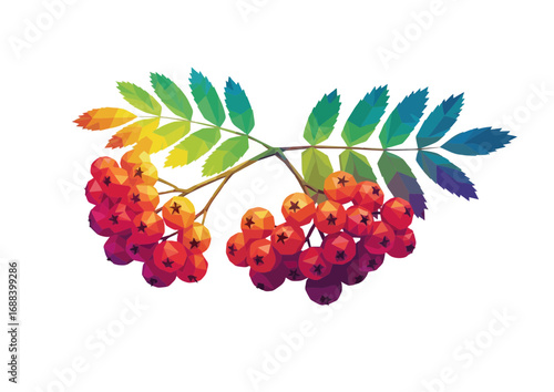 Polygonal rainbow rowan branch with vibrant berries and leaves 