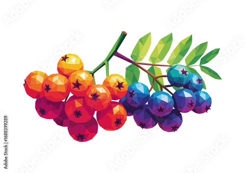 Polygonal rainbow rowan branch with vibrant berries and leaves 