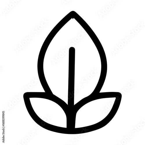 A leafy green plant with a stem. The leaf is large and has a pointy tip